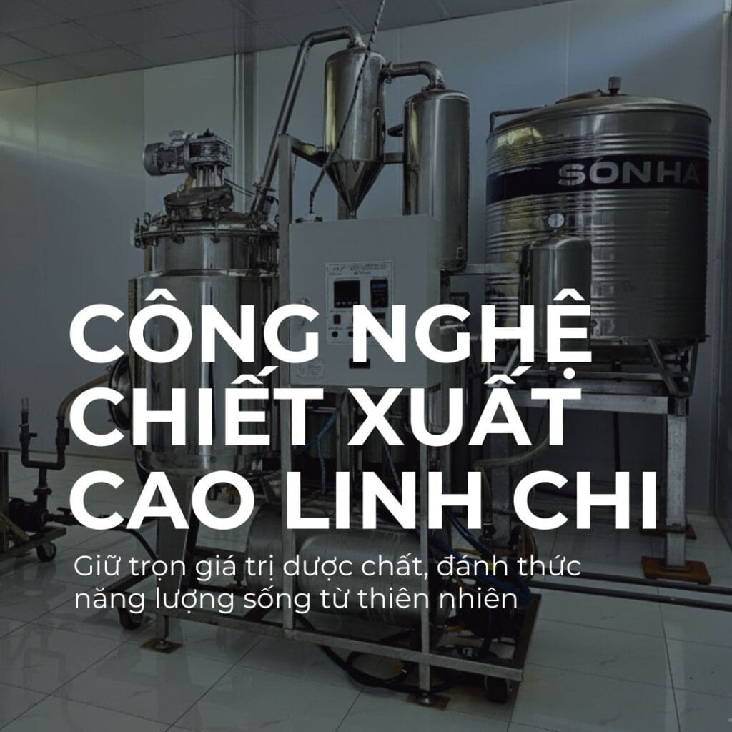 🌿 Công nghệ chiết xuất cao linh chi – Giữ trọn giá trị dược chất, đánh thức năng lượng sống từ thiên nhiên