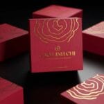 cao linh chi ohal ra mắt