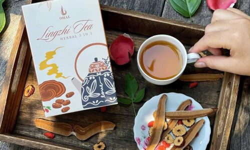 124705ef23adaaf3f3bc